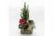 Arrangementen tuinplanten ODXM-2530 Xmas Outdoor 5 pp 