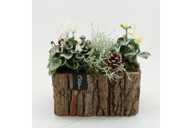 Arrangementen tuinplanten ODXM-2537 Xmas Outdoor 3 pp