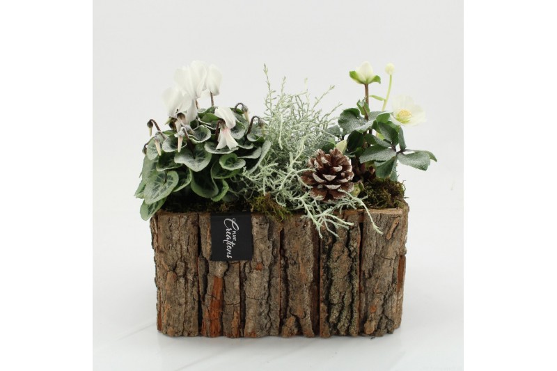 Arrangementen tuinplanten ODXM-2537 Xmas Outdoor 3 pp 