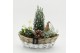 Arrangementen tuinplanten ODXM-2538 Xmas Outdoor 3 pp 