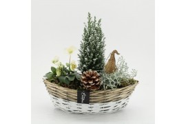 Arrangementen tuinplanten ODXM-2538 Xmas Outdoor 3 pp