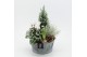 Arrangementen tuinplanten ODXM-2545 Xmas Outdoor 4 pp 