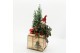 Arrangementen tuinplanten ODXM-2505 Xmas Outdoor 2 pp 
