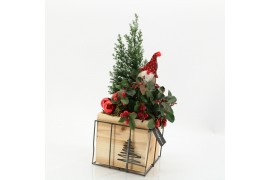 Arrangementen tuinplanten ODXM-2505 Xmas Outdoor 2 pp