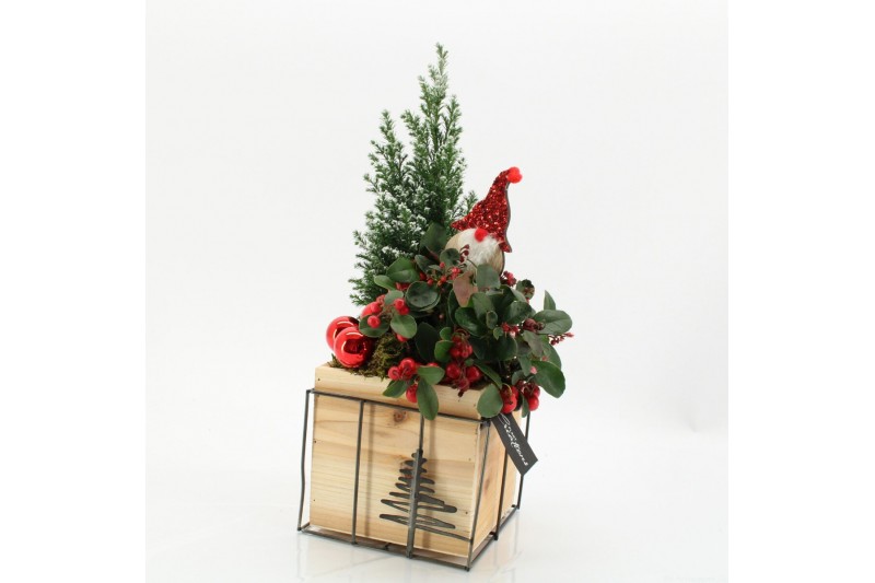 Arrangementen tuinplanten ODXM-2505 Xmas Outdoor 2 pp 