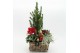 Arrangementen tuinplanten ODXM-2507 Xmas Outdoor 5 pp 