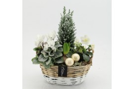 Arrangementen tuinplanten ODXM-2516 Xmas Outdoor 4 pp
