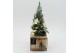 Arrangementen tuinplanten ODXM-2517 Xmas Outdoor 2 pp 