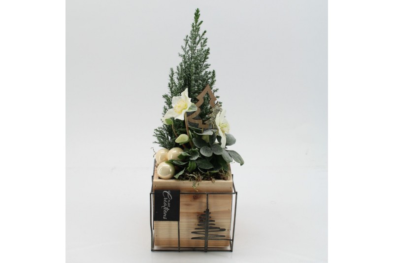 Arrangementen tuinplanten ODXM-2517 Xmas Outdoor 2 pp 