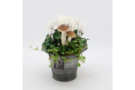 Arrangementen tuinplanten ODXM-2554 Xmas Outdoor 2 pp