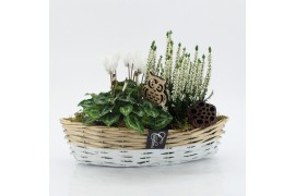 Arrangementen tuinplanten ODXM-2553 Xmas Outdoor 2 pp