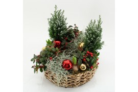 Arrangementen tuinplanten ODXM-2513 Xmas Outdoor 9 pp