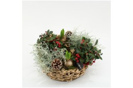 Arrangementen tuinplanten ODXM-2535 Xmas Outdoor 6 pp