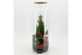 Arrangementen kerst XMAS-25225 Kerst creatie terrarium 2 pp
