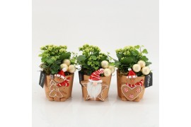 Arrangementen kerst XMAS-25245 Kerst creatie 2 pp