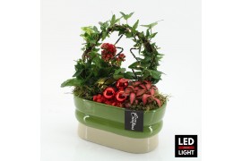 Arrangementen kerst XMAS-25286LED Kerst creatie 3 pp