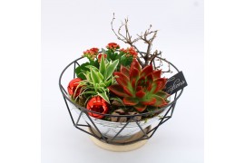 Arrangementen kerst XMAS-25254 Kerst creatie 3 pp