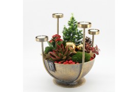 Arrangementen kerst ADV-2505R Advent creatie 4 pp