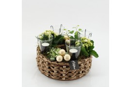 Arrangementen kerst ADV-2518W Advent creatie 4 pp