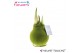 Hippeastrum gewaxt No Water Flowers Velvet Touchz® Moss Green2 tak/pln 