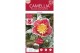 Camellia sasanqua Camellia sas. Yuletide Premium25 bl. 