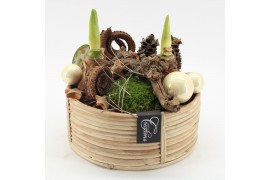 Arrangementen hippeastrum HICR-2502W Kerst Amaryllis 2 pp