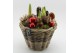 Arrangementen hippeastrum HICR-2527R Kerst Amaryllis 3 pp 