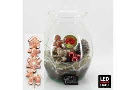 Arrangementen hippeastrum HICR-2509RLED Kerst Amaryllis terrarium 1 pp