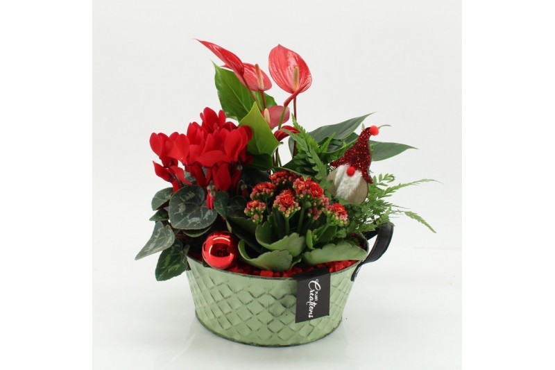 Arrangementen kerst XMASXL-2527 Kerst XL 4 pp 