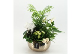 Arrangementen kerst XMASXL-2518 Kerst XL 5 pp