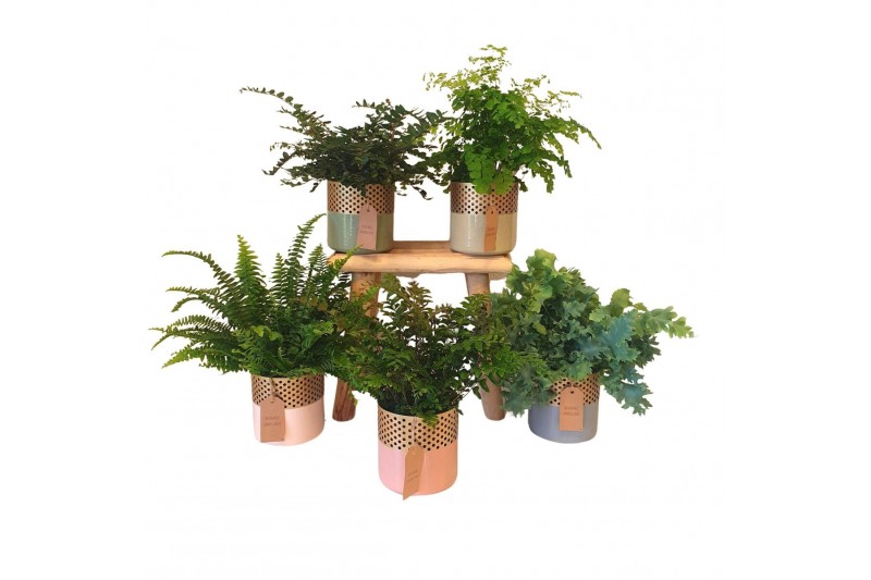 Varens mix Varen mix in waxinelicht35 cm diameter 