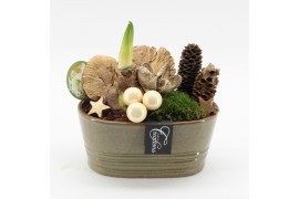 Arrangementen hippeastrum HICR-2510W Kerst Amaryllis 1 pp