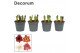 Hippeastrum Multiflora Mix 6/7 Steel (Decorum) 