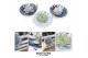 Arrangementen succulenten ROOTLESS Echeveria, Dutch Delft Blue bowl1 p 