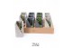 Arrangementen succulenten TRULY Succulent, Meles concrete moss1 pp 