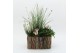 Arrangementen tuinplanten ODXM-2548 Xmas Outdoor 3 pp 