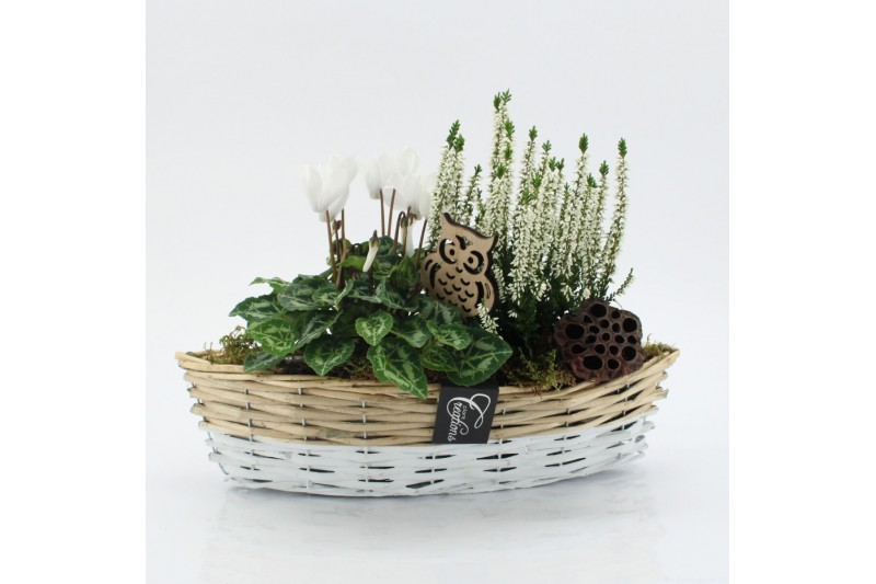 Arrangementen tuinplanten ODXM-2553 Xmas Outdoor 2 pp 
