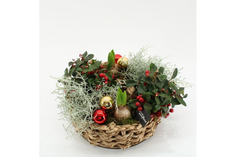 Arrangementen tuinplanten ODXM-2512 Xmas Outdoor 6 pp 