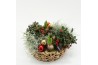 Arrangementen tuinplanten ODXM-2512 Xmas Outdoor 6 pp