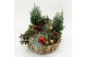 Arrangementen tuinplanten ODXM-2513 Xmas Outdoor 9 pp 