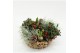 Arrangementen tuinplanten ODXM-2535 Xmas Outdoor 6 pp 