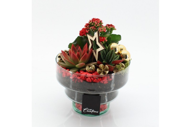 Arrangementen kerst XMAS-25208 Kerst creatie 3 pp 