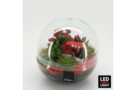 Arrangementen kerst XMAS-25218LED Kerst creatie terrarium 3 pp