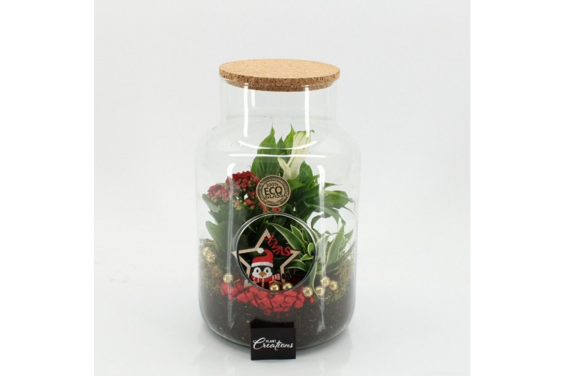 Arrangementen kerst XMAS-25223 Kerst creatie terrarium 3 pp 