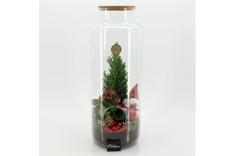 Arrangementen kerst XMAS-25225 Kerst creatie terrarium 2 pp 
