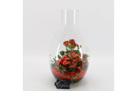 Arrangementen kamerplanten BAXM-2506R Xmas Fundamentals terrarium 3 pp