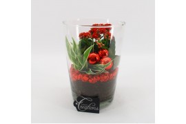 Arrangementen kamerplanten BAXM-2505R Xmas Fundamentals 2 pp