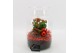 Arrangementen kamerplanten BAXM-2507R Xmas Fundamentals terrarium 2 pp 