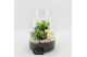 Arrangementen kamerplanten BAXM-2507W Xmas Fundamentals terrarium 2 pp 