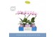 Phalaenopsis roze Balletto Curl 1 spike in Molise Lilac Aquo9 bl. 1 ta 